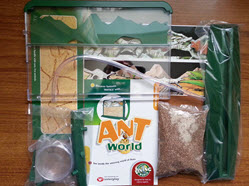 Ant World Contents