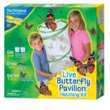 Insect Lore Pavilion Butterfly Kit